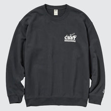 Load image into Gallery viewer, Uniqlo PEANUTS Charlie Brown's Baseball Team Long Sleeve Sweatshirt