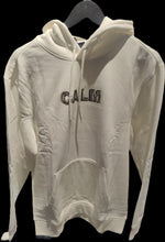 Load image into Gallery viewer, H&amp;M Graphic Hoodie
