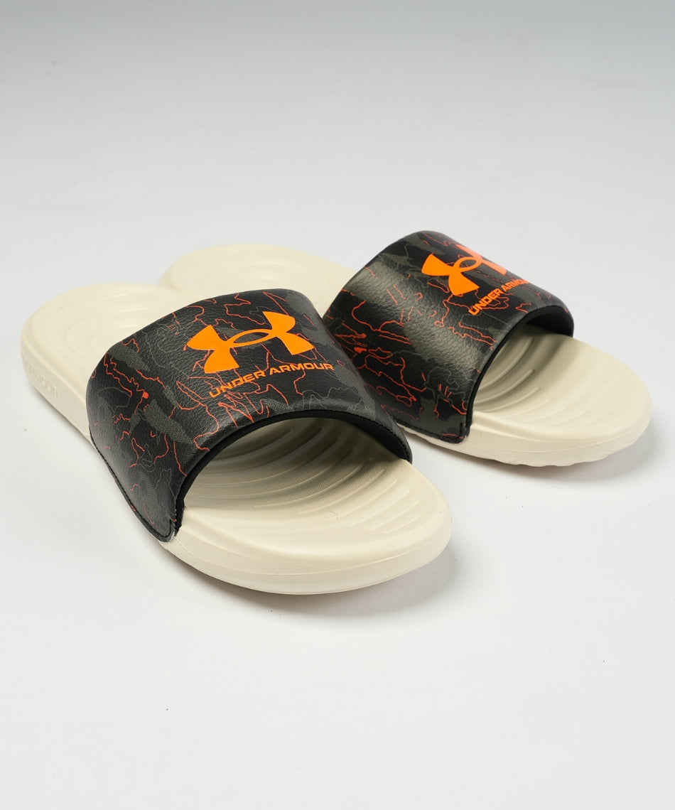 UA ANSA Graphic Slide