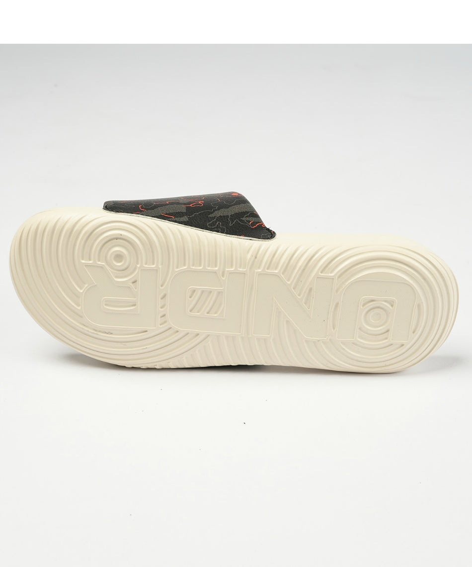 UA ANSA Graphic Slide
