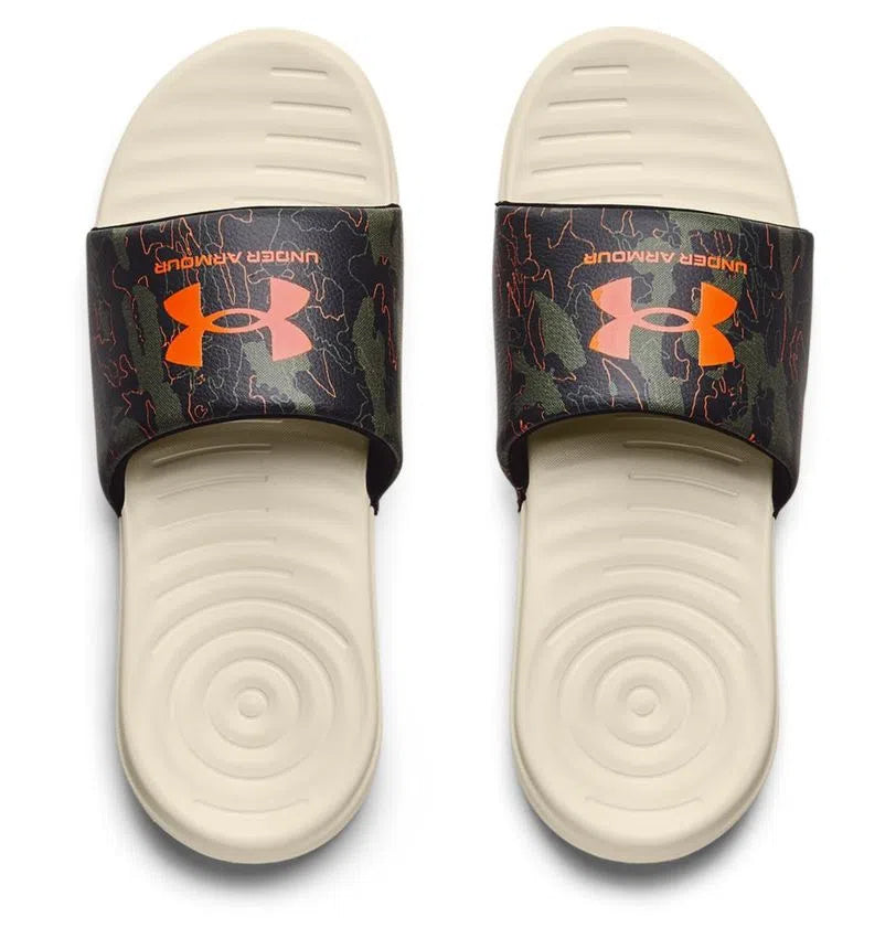 UA ANSA Graphic Slide